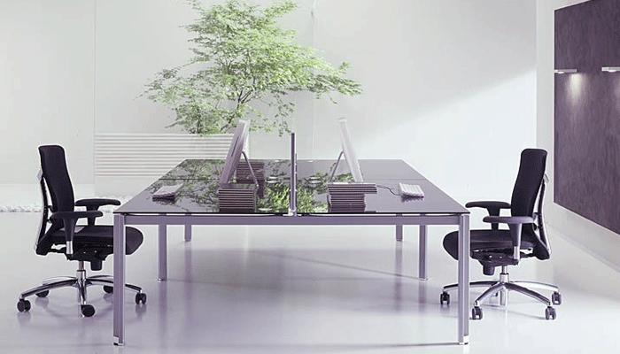Decorar oficinas con plantas